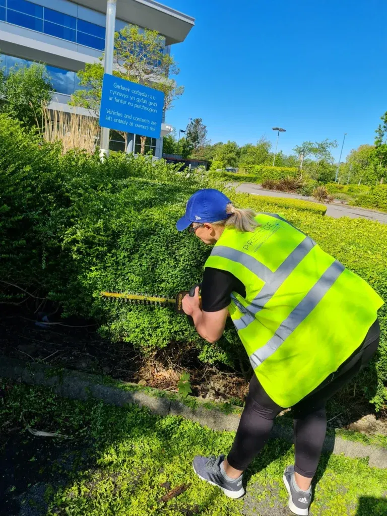 Recent grounds maintenance and exterior cleaning work