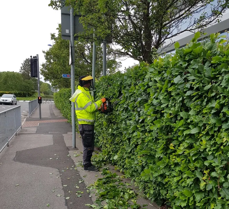 Recent grounds maintenance and exterior cleaning work