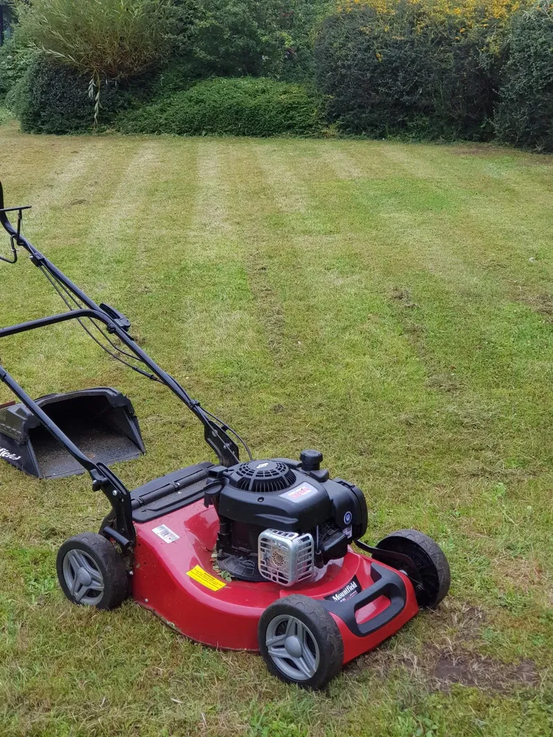 Recent grounds maintenance and exterior cleaning work