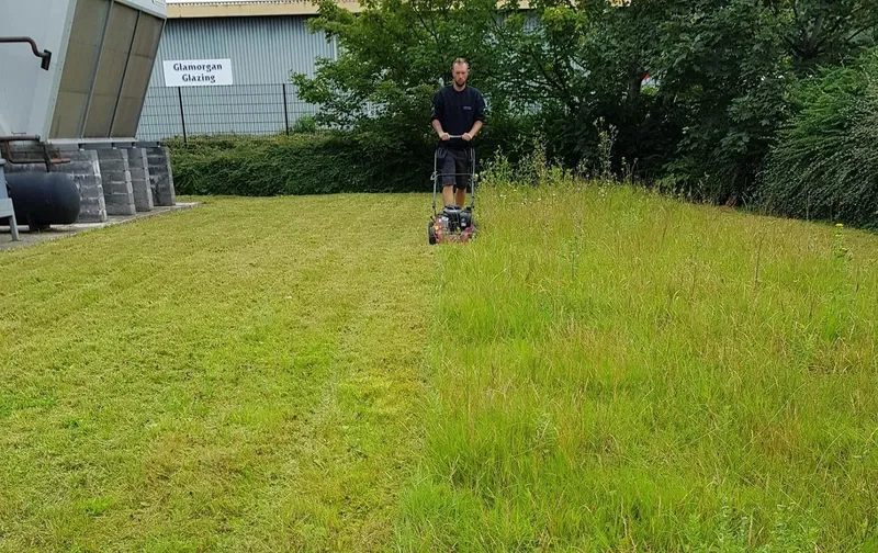 Recent grounds maintenance and exterior cleaning work